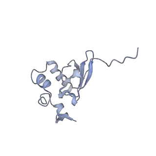 16225_8bsi_SR_v1-2
Giardia ribosome chimeric hybrid-like GDP+Pi bound state (B1)