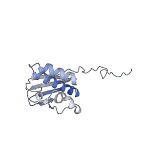 16225_8bsi_ST_v1-2
Giardia ribosome chimeric hybrid-like GDP+Pi bound state (B1)