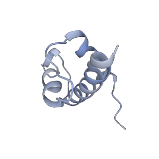 16225_8bsi_SU_v1-2
Giardia ribosome chimeric hybrid-like GDP+Pi bound state (B1)