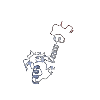 16225_8bsi_SV_v1-2
Giardia ribosome chimeric hybrid-like GDP+Pi bound state (B1)