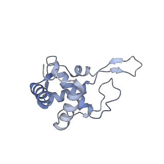 16225_8bsi_SW_v1-2
Giardia ribosome chimeric hybrid-like GDP+Pi bound state (B1)
