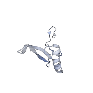 16225_8bsi_SY_v1-2
Giardia ribosome chimeric hybrid-like GDP+Pi bound state (B1)