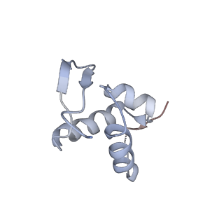 16225_8bsi_Sc_v1-2
Giardia ribosome chimeric hybrid-like GDP+Pi bound state (B1)