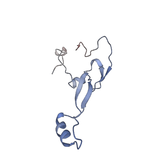 16225_8bsi_Sd_v1-2
Giardia ribosome chimeric hybrid-like GDP+Pi bound state (B1)