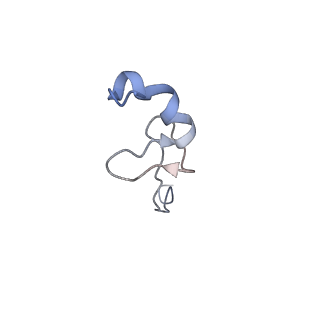 16225_8bsi_Sh_v1-2
Giardia ribosome chimeric hybrid-like GDP+Pi bound state (B1)