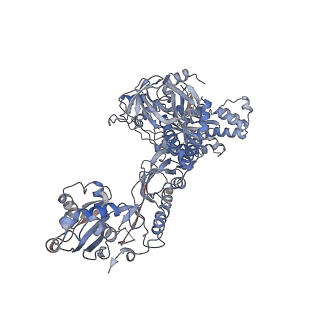 16225_8bsi_a_v1-2
Giardia ribosome chimeric hybrid-like GDP+Pi bound state (B1)