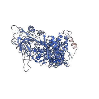 30163_7bsp_A_v1-1
Cryo-EM structure of a human ATP11C-CDC50A flippase in E1-AMPPCP state