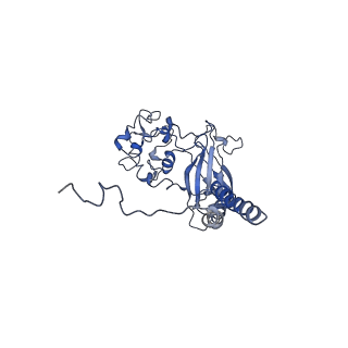 30163_7bsp_C_v1-1
Cryo-EM structure of a human ATP11C-CDC50A flippase in E1-AMPPCP state