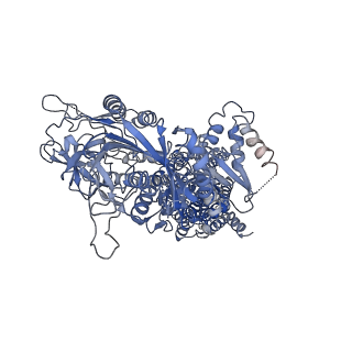 30164_7bsq_A_v1-1
Cryo-EM structure of a human ATP11C-CDC50A flippase in E1AlF-ADP state