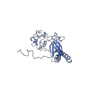 30164_7bsq_C_v1-1
Cryo-EM structure of a human ATP11C-CDC50A flippase in E1AlF-ADP state