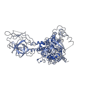 30165_7bss_A_v1-1
Cryo-EM structure of a human ATP11C-CDC50A flippase in E1AlF state