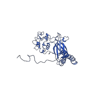 30165_7bss_C_v1-1
Cryo-EM structure of a human ATP11C-CDC50A flippase in E1AlF state