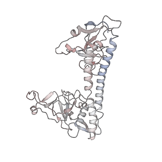 30166_7bst_A_v1-3
EcoR124I-Ocr in the Intermediate State