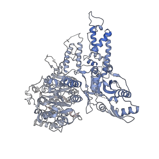 30166_7bst_B_v1-3
EcoR124I-Ocr in the Intermediate State