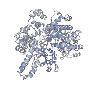 30166_7bst_C_v1-3
EcoR124I-Ocr in the Intermediate State