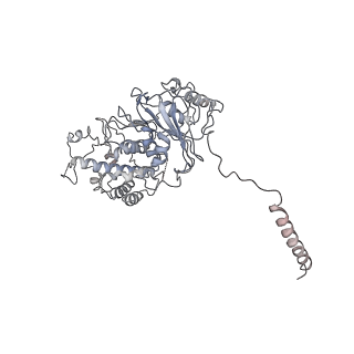 30166_7bst_E_v1-3
EcoR124I-Ocr in the Intermediate State