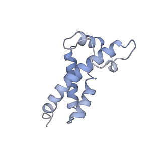 30166_7bst_G_v1-3
EcoR124I-Ocr in the Intermediate State