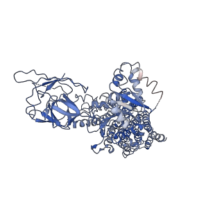 30167_7bsu_A_v1-1
Cryo-EM structure of a human ATP11C-CDC50A flippase in PtdSer-bound E2BeF state