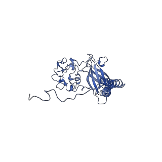 30167_7bsu_C_v1-1
Cryo-EM structure of a human ATP11C-CDC50A flippase in PtdSer-bound E2BeF state