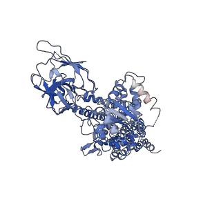 30168_7bsv_A_v1-1
Cryo-EM structure of a human ATP11C-CDC50A flippase in PtdSer-occluded E2-AlF state