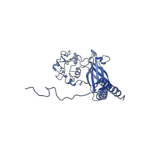 30168_7bsv_C_v1-1
Cryo-EM structure of a human ATP11C-CDC50A flippase in PtdSer-occluded E2-AlF state