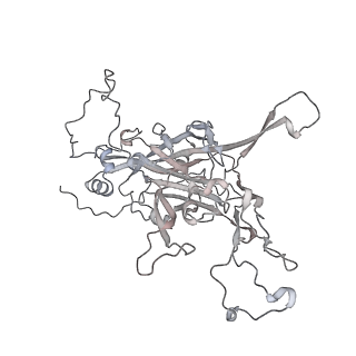 7136_6bsp_C_v1-1
High-Resolution Structure Analysis of Antibody V5 and U4 Conformational Epitope on Human Papillomavirus 16