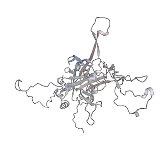 7136_6bsp_E_v1-1
High-Resolution Structure Analysis of Antibody V5 and U4 Conformational Epitope on Human Papillomavirus 16