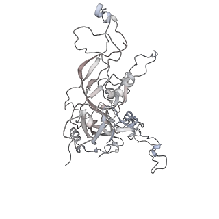 7136_6bsp_H_v1-1
High-Resolution Structure Analysis of Antibody V5 and U4 Conformational Epitope on Human Papillomavirus 16