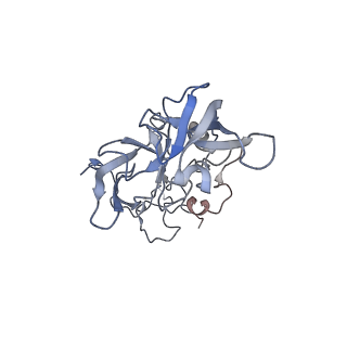 16228_8btd_LA_v1-2
Giardia Ribosome in PRE-T Hybrid State (D1)
