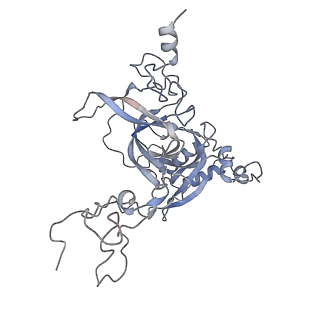 16228_8btd_LB_v1-2
Giardia Ribosome in PRE-T Hybrid State (D1)