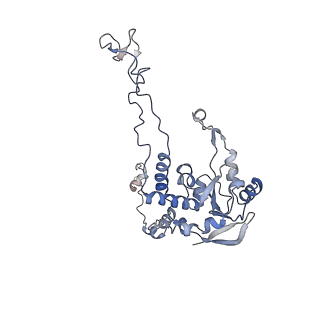 16228_8btd_LC_v1-2
Giardia Ribosome in PRE-T Hybrid State (D1)
