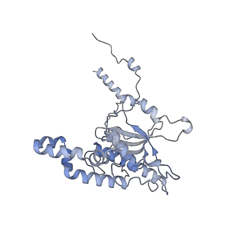 16228_8btd_LF_v1-2
Giardia Ribosome in PRE-T Hybrid State (D1)