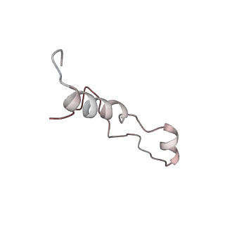 16228_8btd_LG_v1-2
Giardia Ribosome in PRE-T Hybrid State (D1)