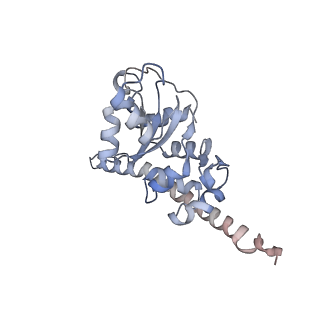 16228_8btd_LH_v1-2
Giardia Ribosome in PRE-T Hybrid State (D1)