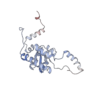 16228_8btd_LI_v1-2
Giardia Ribosome in PRE-T Hybrid State (D1)