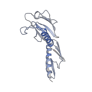 16228_8btd_LJ_v1-2
Giardia Ribosome in PRE-T Hybrid State (D1)