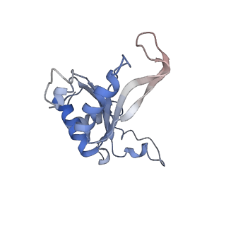 16228_8btd_LL_v1-2
Giardia Ribosome in PRE-T Hybrid State (D1)