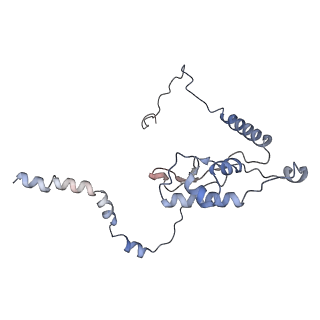 16228_8btd_LM_v1-2
Giardia Ribosome in PRE-T Hybrid State (D1)