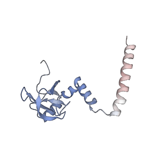 16228_8btd_LN_v1-2
Giardia Ribosome in PRE-T Hybrid State (D1)