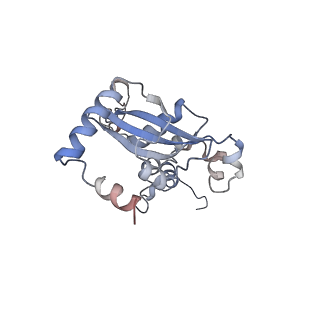16228_8btd_LO_v1-2
Giardia Ribosome in PRE-T Hybrid State (D1)