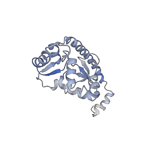 16228_8btd_LP_v1-2
Giardia Ribosome in PRE-T Hybrid State (D1)