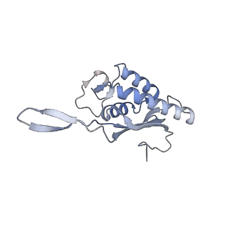 16228_8btd_LQ_v1-2
Giardia Ribosome in PRE-T Hybrid State (D1)