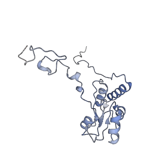 16228_8btd_LR_v1-2
Giardia Ribosome in PRE-T Hybrid State (D1)