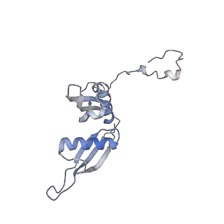 16228_8btd_LT_v1-2
Giardia Ribosome in PRE-T Hybrid State (D1)
