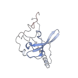 16228_8btd_LU_v1-2
Giardia Ribosome in PRE-T Hybrid State (D1)