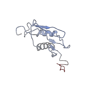 16228_8btd_LV_v1-2
Giardia Ribosome in PRE-T Hybrid State (D1)