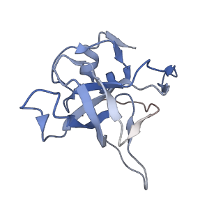 16228_8btd_LW_v1-2
Giardia Ribosome in PRE-T Hybrid State (D1)