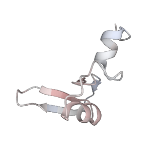 16228_8btd_LX_v1-2
Giardia Ribosome in PRE-T Hybrid State (D1)