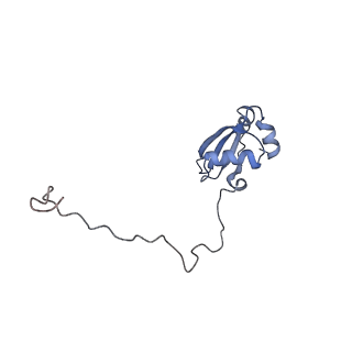 16228_8btd_LY_v1-2
Giardia Ribosome in PRE-T Hybrid State (D1)