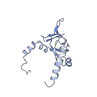 16228_8btd_LZ_v1-2
Giardia Ribosome in PRE-T Hybrid State (D1)